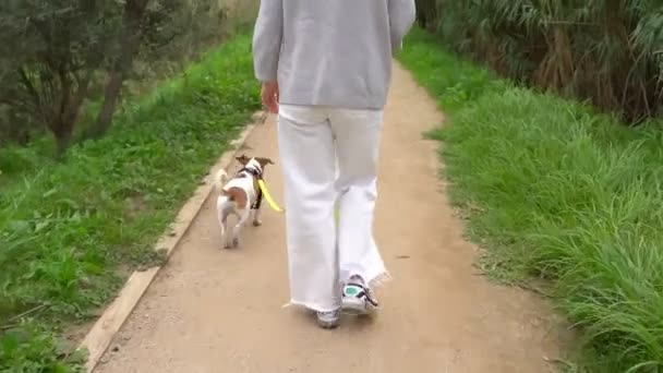 Haftasonu Evcil Hayvanla Sonbahar Yürüyüşü Beyaz Kotlu Genç Bir Kadın — Stok video