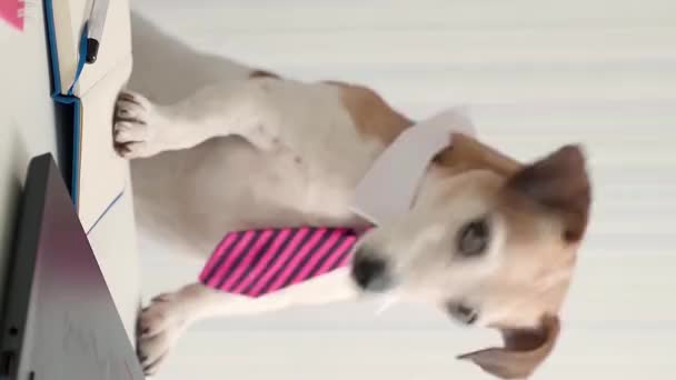 ハードワーカーの面白い犬は ネクタイとホワイトカラーのオフィススタイルを着用ラップトップで動作します 縦のビデオ映像を撮りました ワーキングデスク カメラを見ているかわいいペット — ストック動画
