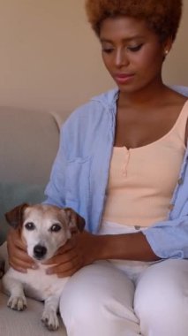 Oturma odasındaki kanepede oturan küçük beyaz köpeği okşayan siyah kadın. Köpek sahibinin şefkatli dokunuşları. Hafta sonu evcil hayvanla boş vakit geçirmek. Dikey video görüntüleri
