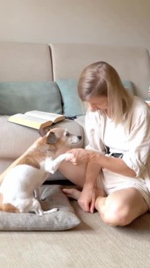 Sarışın kız oturma odasında, kanepenin yanında oturmuş küçük köpek Jack Russell Terrier 'ı okşuyor. Öpüşen ve sarılan köpek pençelerini tokalaştırıyor. dikey video görüntüleri. Sevgi ve ilgi 