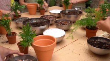 Toprak karışımı, saksı ve bitki örtüsü, kuşkonmaz yoğunluğu, areca. Ana derste el kol hareketi yaparak saksı dikmeyi anlatıyor. Yavaş çekim video görüntüleri. Bir grup insan için bitki bakımı dersi