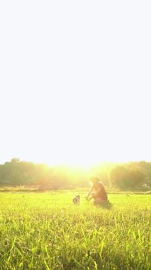 Köpek ve kadın sahibi aktif oynamayı sever. Sarışın kadın kısa kırmızı elbiseli hasır şapkalı yeşil çimen doğasında koşan küçük köpekle oynuyor. Yaz hatıraları atmosferi. Yavaş çekim dikey video