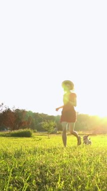 Kısa kırmızı elbiseli ve hasır şapkalı sarışın kadın yeşil çayırda koşan küçük köpekle oynuyor. Parlak güneş ışınları. Yaz hatıraları atmosferi. Yavaş çekim dikey video görüntüleri