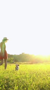 Kısa kırmızı elbiseli zayıf bir kadın ve ardından yeşil çayır doğa üzerinde yürüyen küçük bir köpek. Parlak arka plan güneş ışınları kameraya yansıyor. Sıcak yaz anıları. Yavaş çekim dikey video görüntüleri