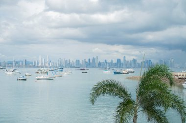 Panama şehri genel görünümü