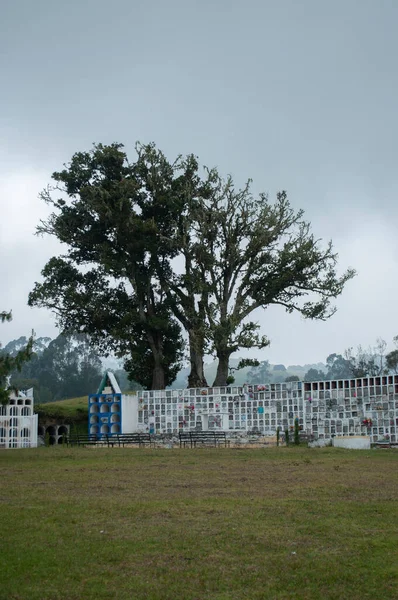 stock image Old cemetery in murillo