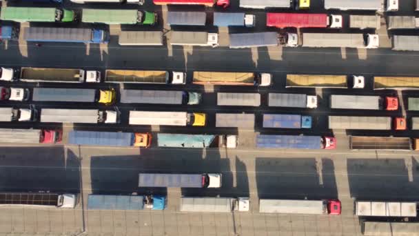 Logistiek Goederenvervoer Graan Vrachtwagens Die Wachten Het Lossen Haven Een — Stockvideo