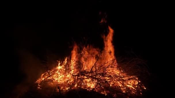 Een Stapel Brandende Takken Nachts Bonfire Een Donkere Achtergrond — Stockvideo