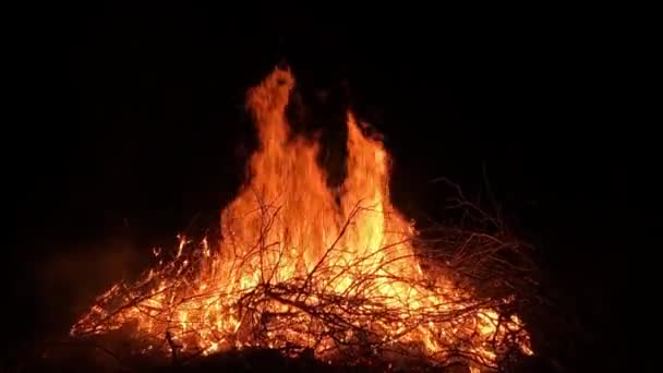 篝火中的一根燃烧的枝条 背景是漆黑的夜晚 燃烧木材残留物 — 图库视频影像