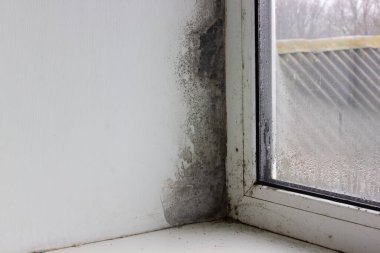Pencerenin köşesinde küf var. Pencerede nem ve mantar var. Kışın mantar sorunu