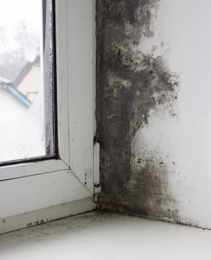 Kışın aşırı nemden dolayı pencerelerde ve duvarlarda mantar var.
