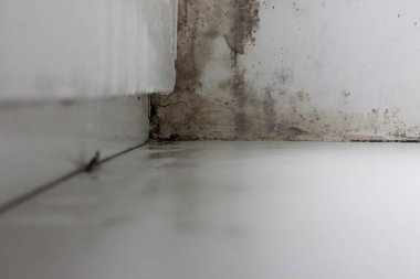 Pencerenin köşesinde küf var. Pencerede nem ve mantar var. Kışın mantar sorunu