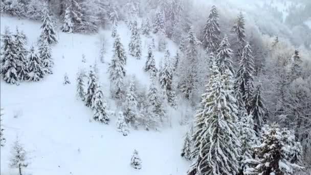 Declive Montanha Nevado Com Árvores Vista Drone Belas Montanhas Inverno — Vídeo de Stock