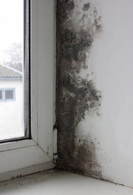 Pencere evin ortasındaki küf ile kaplı. Kara mantarın güçlü oluşumu. Aşırı nem ve yoğunlaşma duvarda siyah bir küf tabakası oluşturdu.