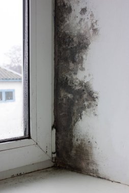 Pencere evin ortasındaki küf ile kaplı. Kara mantarın güçlü oluşumu. Aşırı nem ve yoğunlaşma duvarda siyah bir küf tabakası oluşturdu.