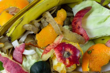 Fresh organic waste and compost are piled up.