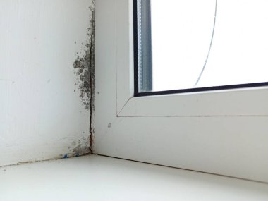 A slope near the window is a moisture fungus. Black mold covers a white wall