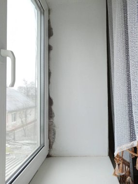 Pencerenin yanındaki duvarda siyah küf ve mantar var. Havalandırma sorunu, rutubet, evde soğuk.