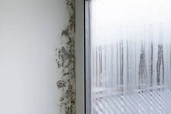 雾蒙蒙的窗户和斜坡上的霉菌 房子墙壁上的真菌 — 图库照片