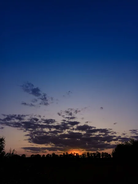 Puesta Sol Sobre Árboles Negros Cielo Azul Sol Naranja — Foto de Stock