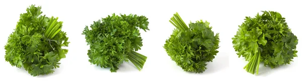 Colagem Cachos Salsa Verde Fresco Isolado Fundo Branco Verduras Perfumadas — Fotografia de Stock