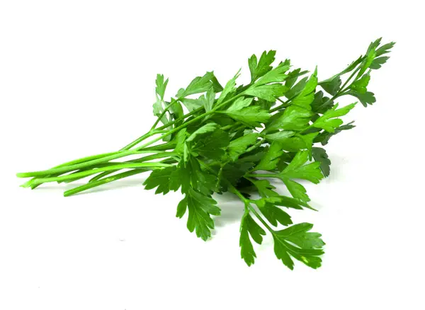 Bunch Parsley White Background Fresh Fragrant Herbs Cooking — Stock Photo, Image
