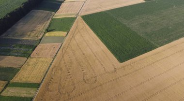 Traktör izli bir buğday tarlasının hava görüntüsü.