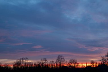 Gün batımında bulutlar ve ufukta gölgeler. Kışın ağaçların arkasından.