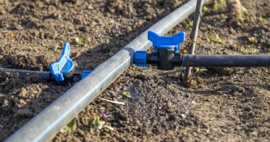 Verimli su kullanımı için verimli topraklara yerleştirilmiş mavi vanaları olan bir damlama sulama sisteminin yakın plan görüntüsü