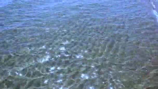 Czysta Przezroczysta Woda Chłopca Morzu — Wideo stockowe