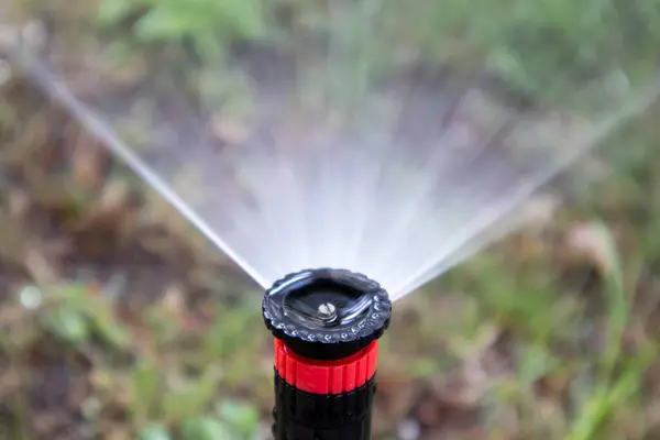 Close-up photo of a garden hose nozzle spraying water against a blurred green backdrop