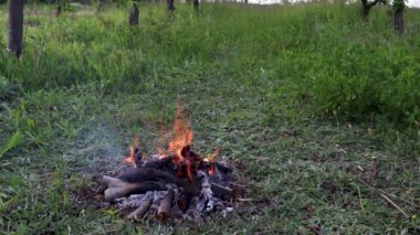 Küçük, zapt edilmiş kamp ateşi yemyeşil çimlerin ortasında yanıp sönüyor.