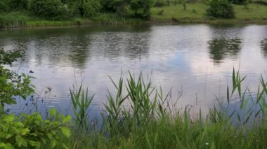 Güzel bir yaz gününün tadını çıkarıyorum. Gölün kenarında dinleniyorum.