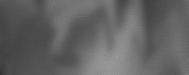 Yüksek çözünürlüklü görüntü, siyah beyaz yağlı boya arkaplanının detaylarını gösteriyor