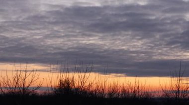 Renkli gündoğumu zaman çizelgesi canlı gökyüzüne karşı çıplak ağaç siluetlerini ortaya çıkarıyor. Sabah ışığı ve atmosfer renklerini değiştirerek altın saatin içinden geçiyor.