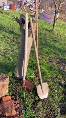 Yıpranmış ağaç kütüğüne karşı dinlenen bahçe aletleri, kırsal arka bahçe sahnesi