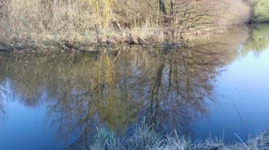 Çevredeki ağaçları yansıtan yeşil ormanlarda gezinen yumuşak nehir ve bahar manzarasında sakin ve sakin atmosferli geniş gökyüzü.