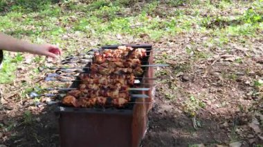 Sükûnet bahçesinde çiçek açan kiraz dalları arasında sallanan yumuşak hamak.