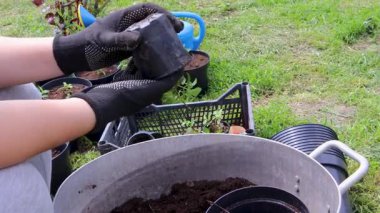 Bahçıvan çiçek dikmek için saksı toprağı hazırlıyor.