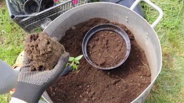 Bahçıvan çiçek dikmek için saksı toprağı hazırlıyor.
