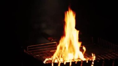 Barbekü ızgarası gece vakti kamp ateşinde yanar. Güzel alevler, kıvılcımlar, duman. Sahilin arka planında, denizde, ay yolu bulanık, bokeh. El kamerasıyla ateş edilmiş. Yaz