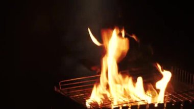 Barbekü ızgarası gece vakti kamp ateşinde yanar. Uzak planda odak değişimi, denize giden mehtaplı yolda, sahilde. Karanlık su, dalgalar. Güzel alevler, kıvılcımlar, duman. El bilgisayarı