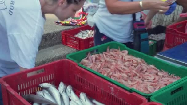Frisch Gefangene Meeresfrüchte Fisch Garnelen Die Auf Dem Lokalen Markt — Stockvideo