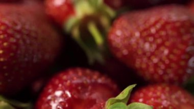 Yakın plan. Kamera taze, güzel, olgun çileklerin üzerinden geçiyor. Böğürtlenin üstünde tahıl, yapı, yüzey. El bilgisayarı atışı