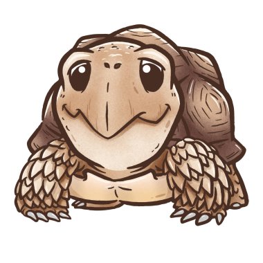 Karikatür kaplumbağası Sulcata kaplumbağasının vektör çizimi
