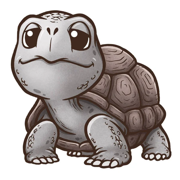 Vektor Illustration Tecknad Sköldpadda Galapagos Sköldpadda — Stock vektor
