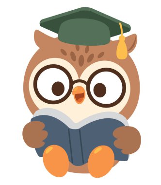 Sevimli Baykuş Çizgi Filmi Mezuniyet Şapkası Kitabı