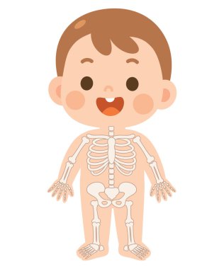 Şirin Çocuk İskelet Anatomi Çizgi Filmi Vektörü