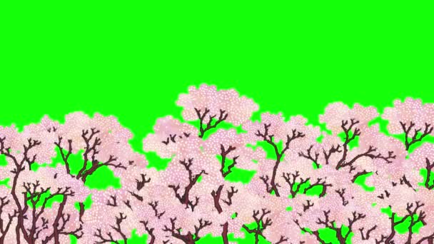 Row Cherry Trees Seen Side — Video
