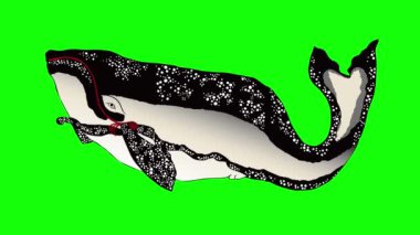 güzel bir grafik desen